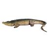 Design Toscano Tropical Wetlands Crocodile Statue NE80123